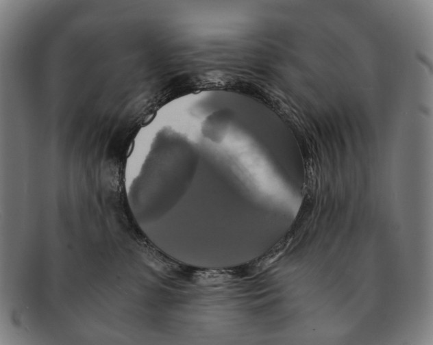 X0000091480331200709131816