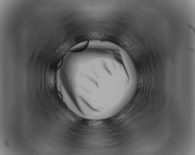 X0000091480334200709131816