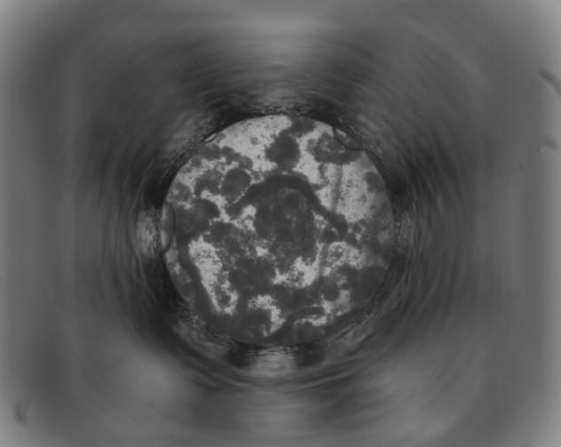 X0000091480335200709131816