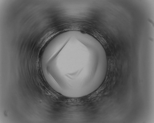 X0000091480338200709131815