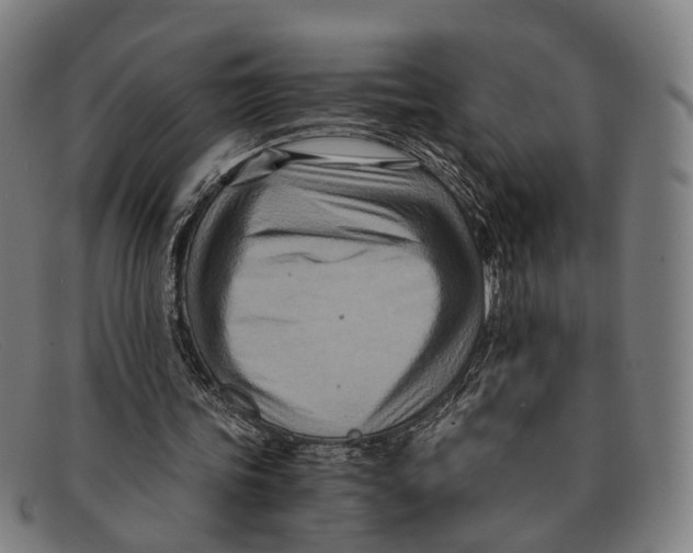 X0000091480339200709131815