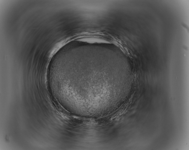 X0000091480340200709131815