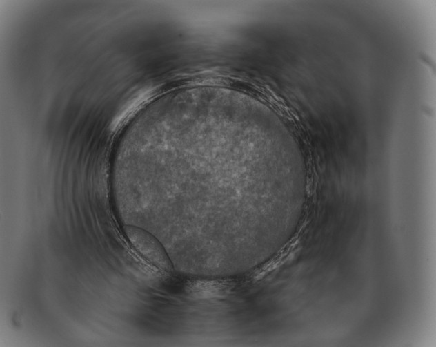 X0000091480341200709131815