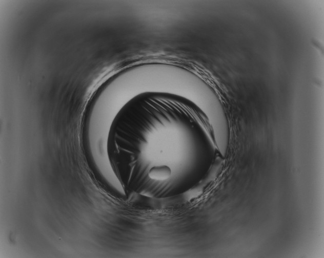 X0000091480344200709131816