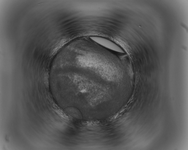 X0000091480345200709131816