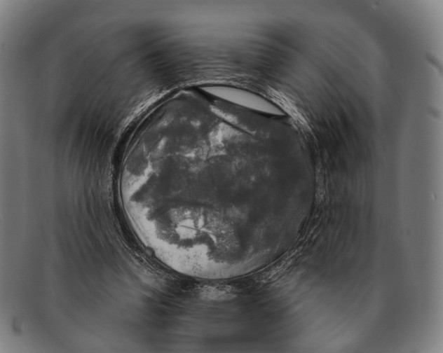 X0000091480346200709131816