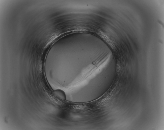 X0000091480347200709131816