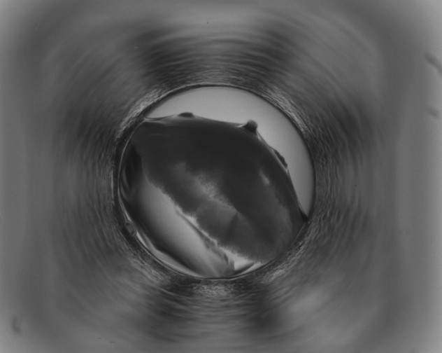 X0000091480349200709131816