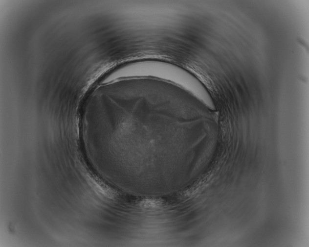 X0000091480350200709131816