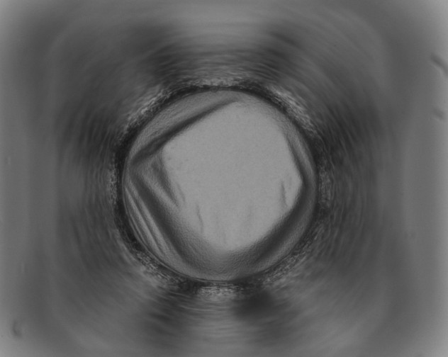 X0000091480354200709131816