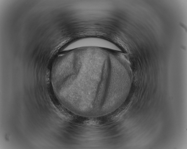 X0000091480356200709131816