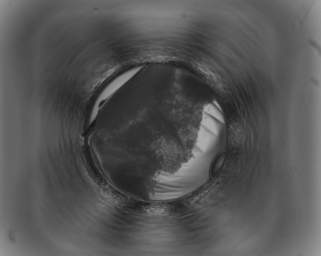 X0000091480358200709131816