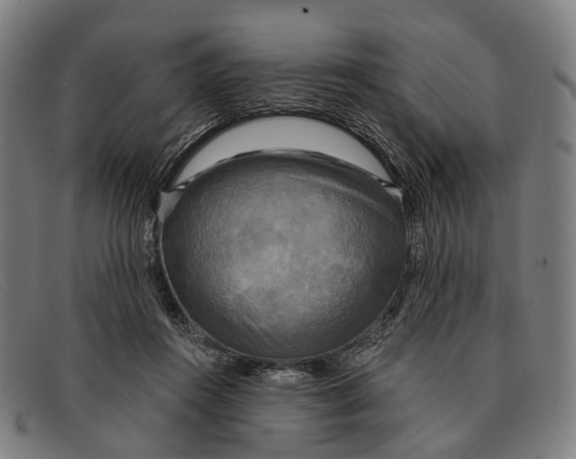 X0000091480360200709131816