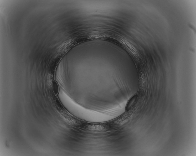 X0000091480361200709131816