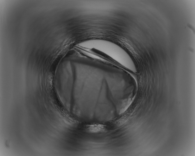 X0000091480363200709131816