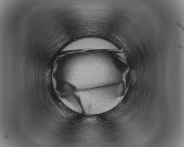 X0000091480364200709131816