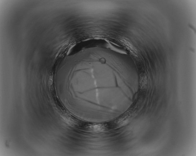 X0000091480365200709131816