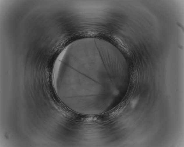 X0000091480366200709131816