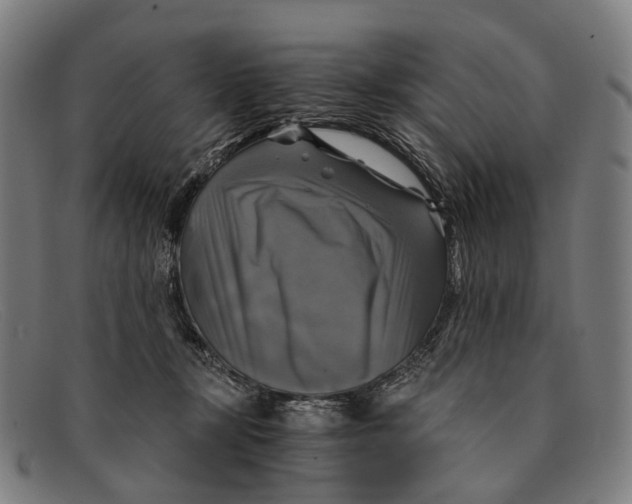 X0000091480367200709131816