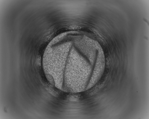 X0000091480368200709131816