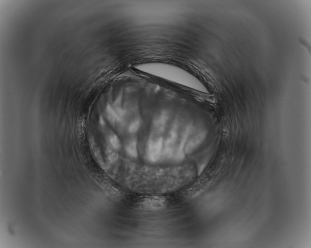 X0000091480369200709131816