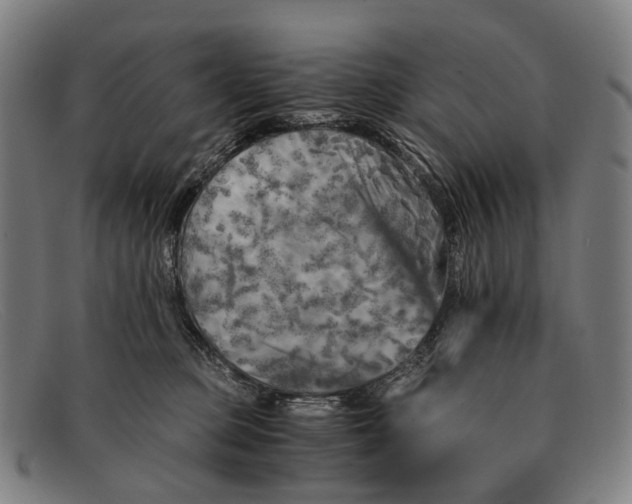 X0000091480373200709131816