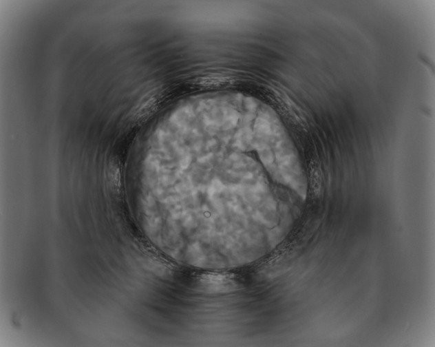 X0000091480375200709131816