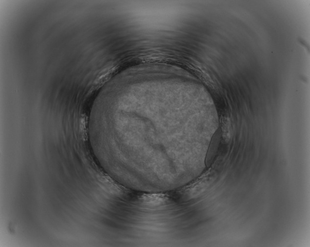 X0000091480378200709131816