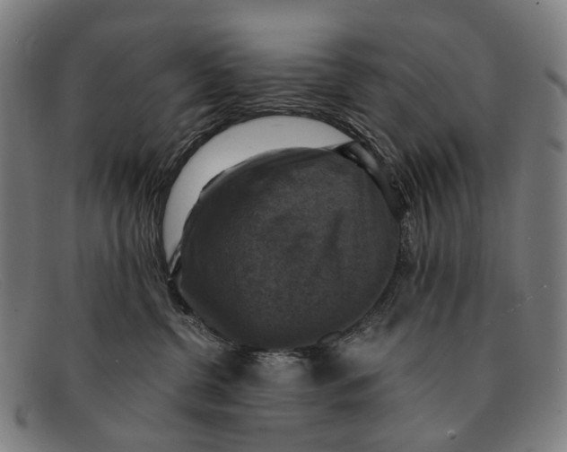 X0000091480380200709131816