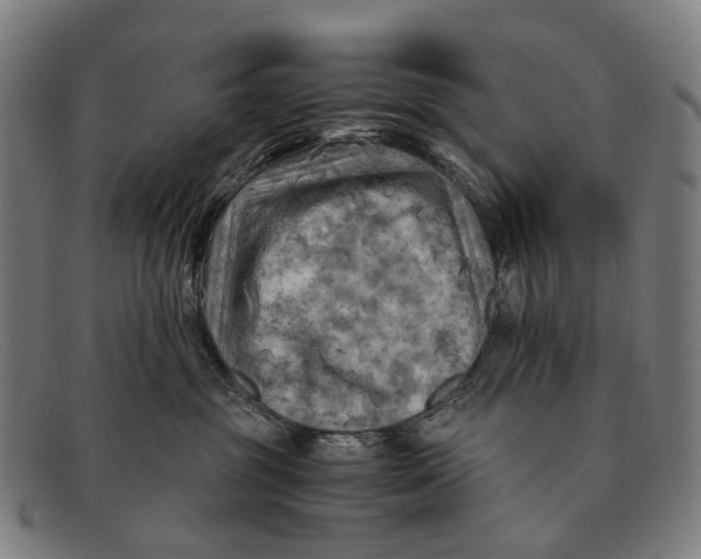 X0000091480381200709131816