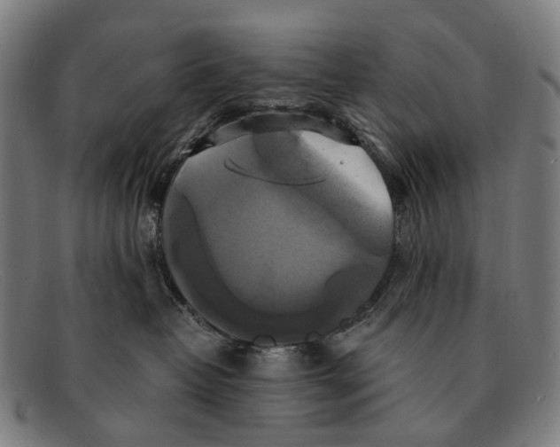 X0000091480382200709131816