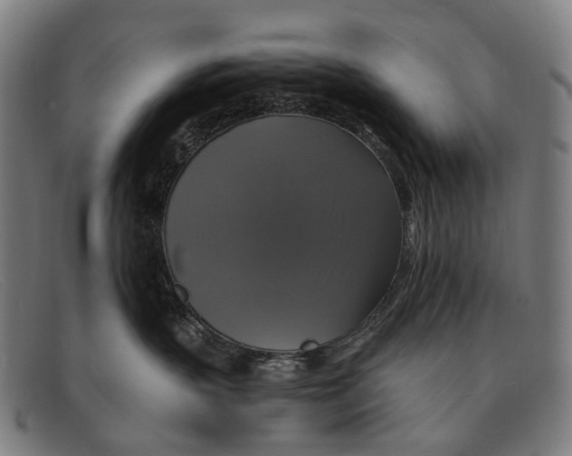 X0000091480383200709131816