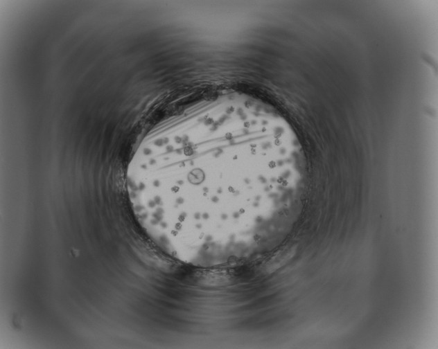 X0000091480384200709131816
