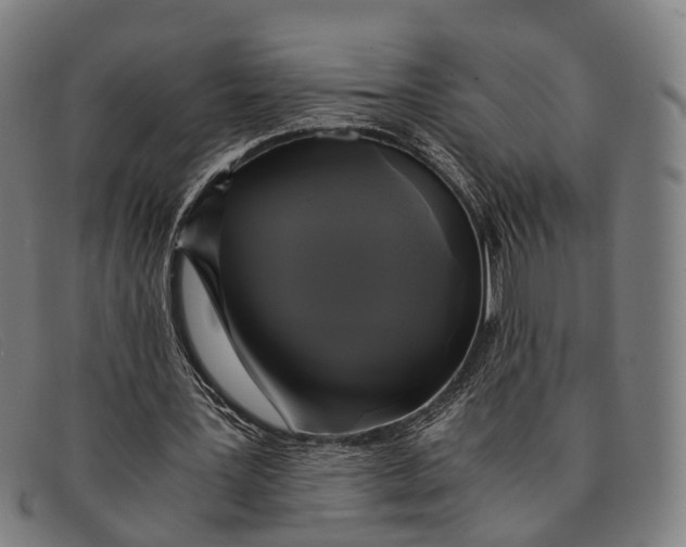 X0000091480387200709131815