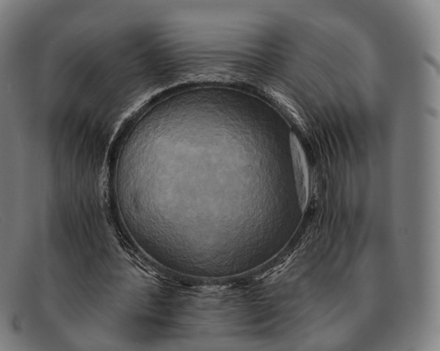 X0000091480388200709131815