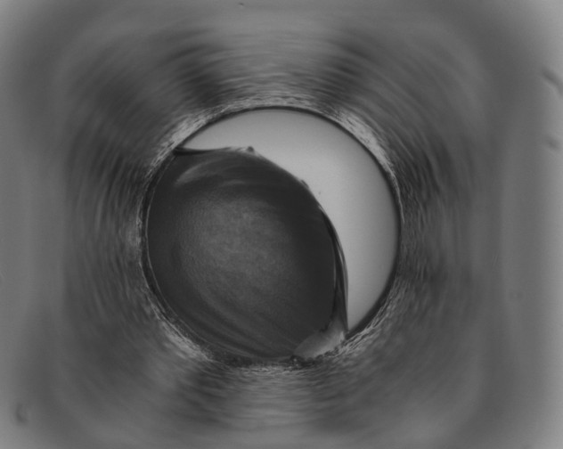 X0000091480389200709131815