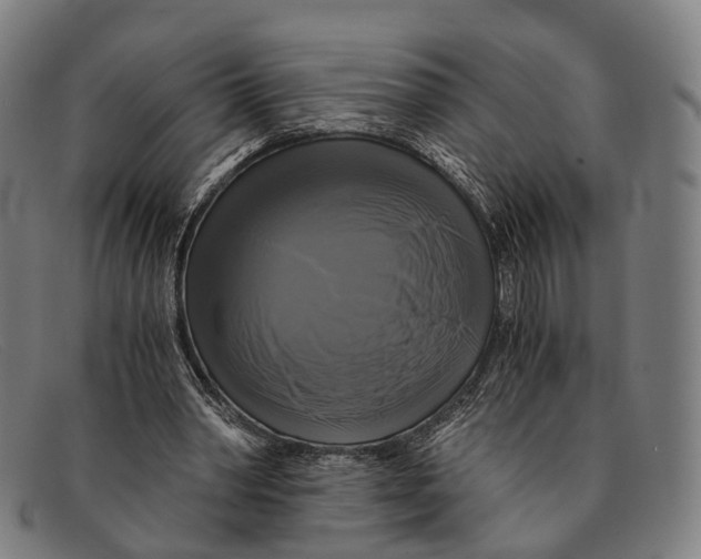 X0000091480390200709131815