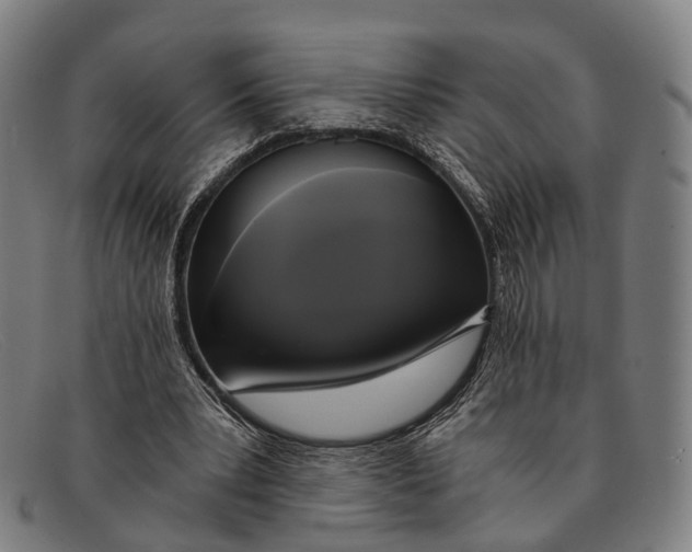 X0000091480391200709131815