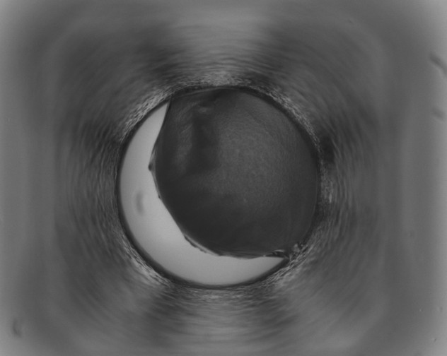 X0000091480393200709131815