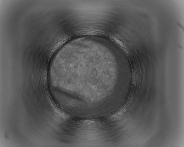 X0000091480394200709131815