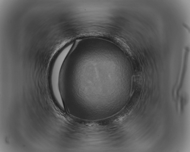 X0000091480395200709131815