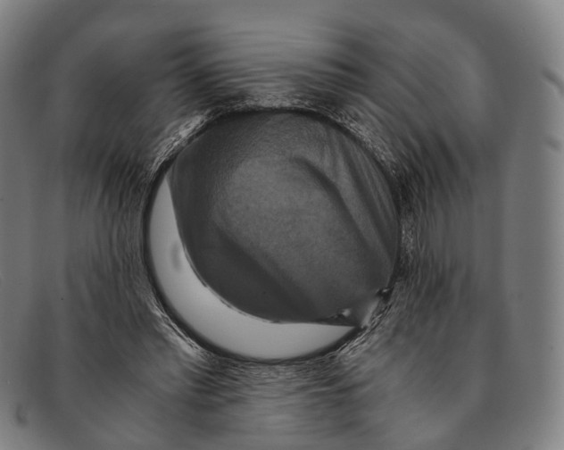 X0000091480397200709131815