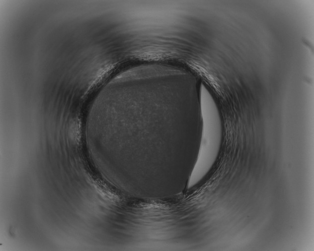 X0000091480400200709131815