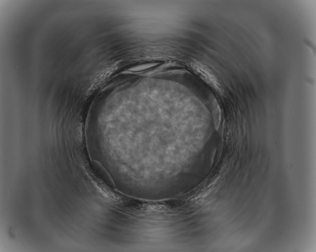 X0000091480401200709131815