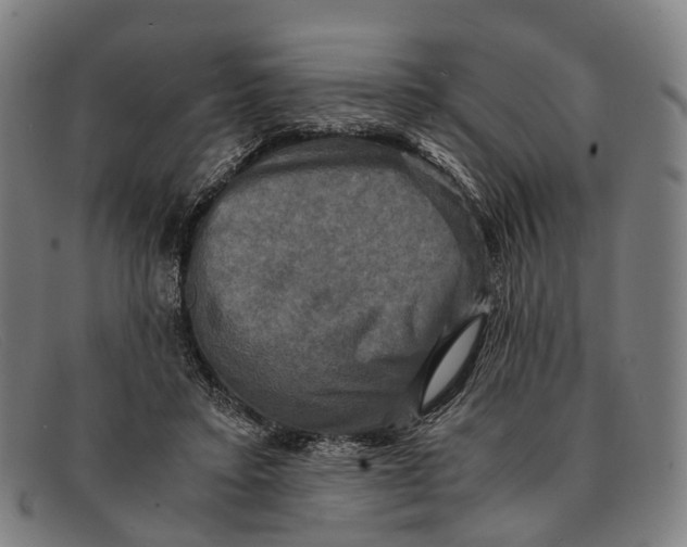 X0000091480403200709131815