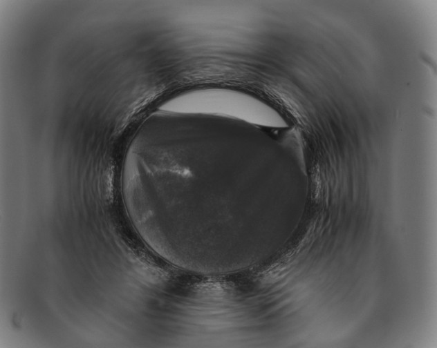 X0000091480404200709131815