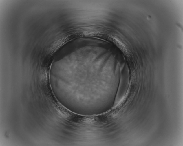 X0000091480405200709131815