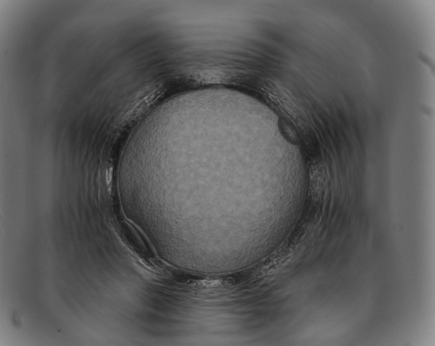 X0000091480406200709131815