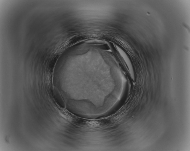 X0000091480409200709131815