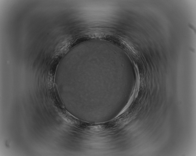 X0000091480411200709131815